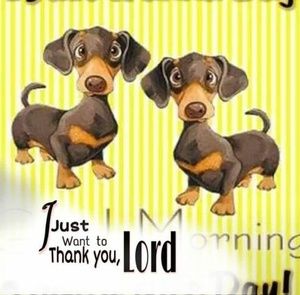 Meet your Posher, Roxy